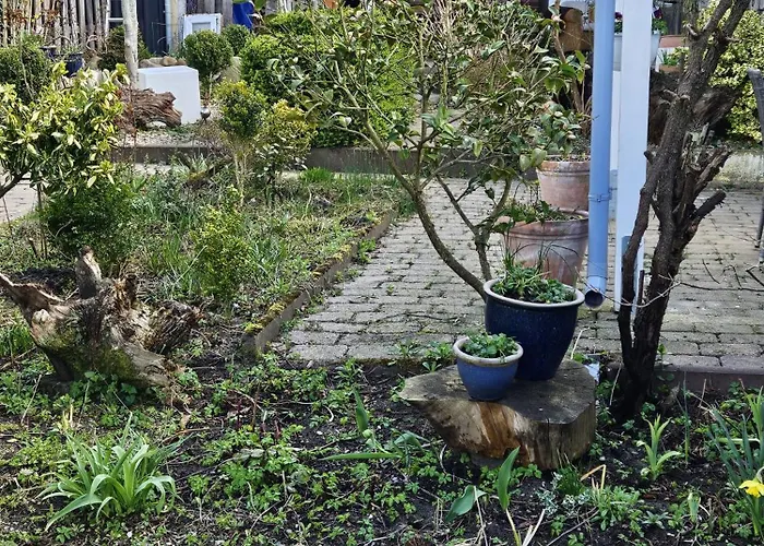 4 Appartement Bokelrehm